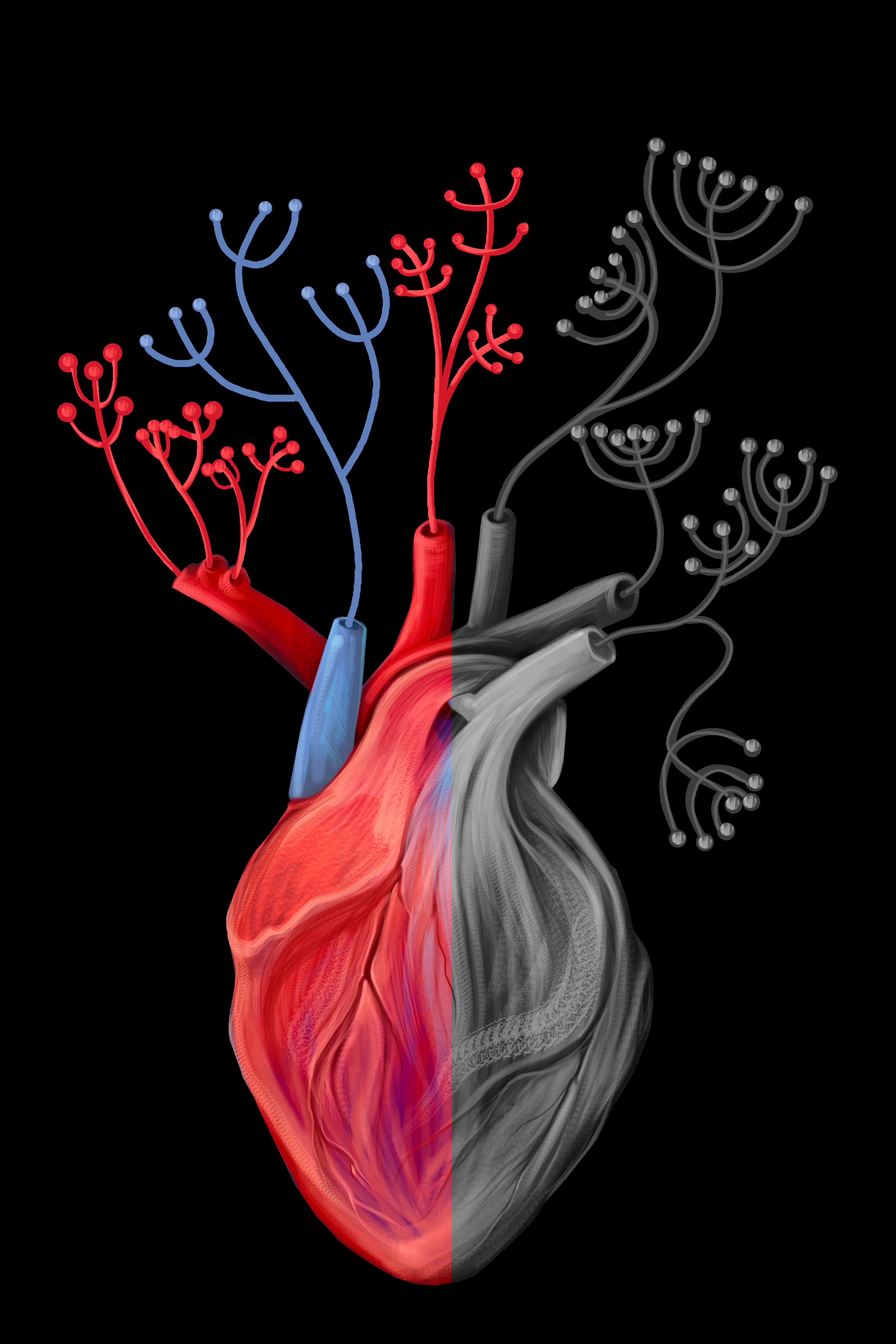 an artistic image of heart